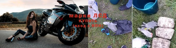 ПСИЛОЦИБИНОВЫЕ ГРИБЫ Семилуки